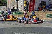 DSC_6942 copie
